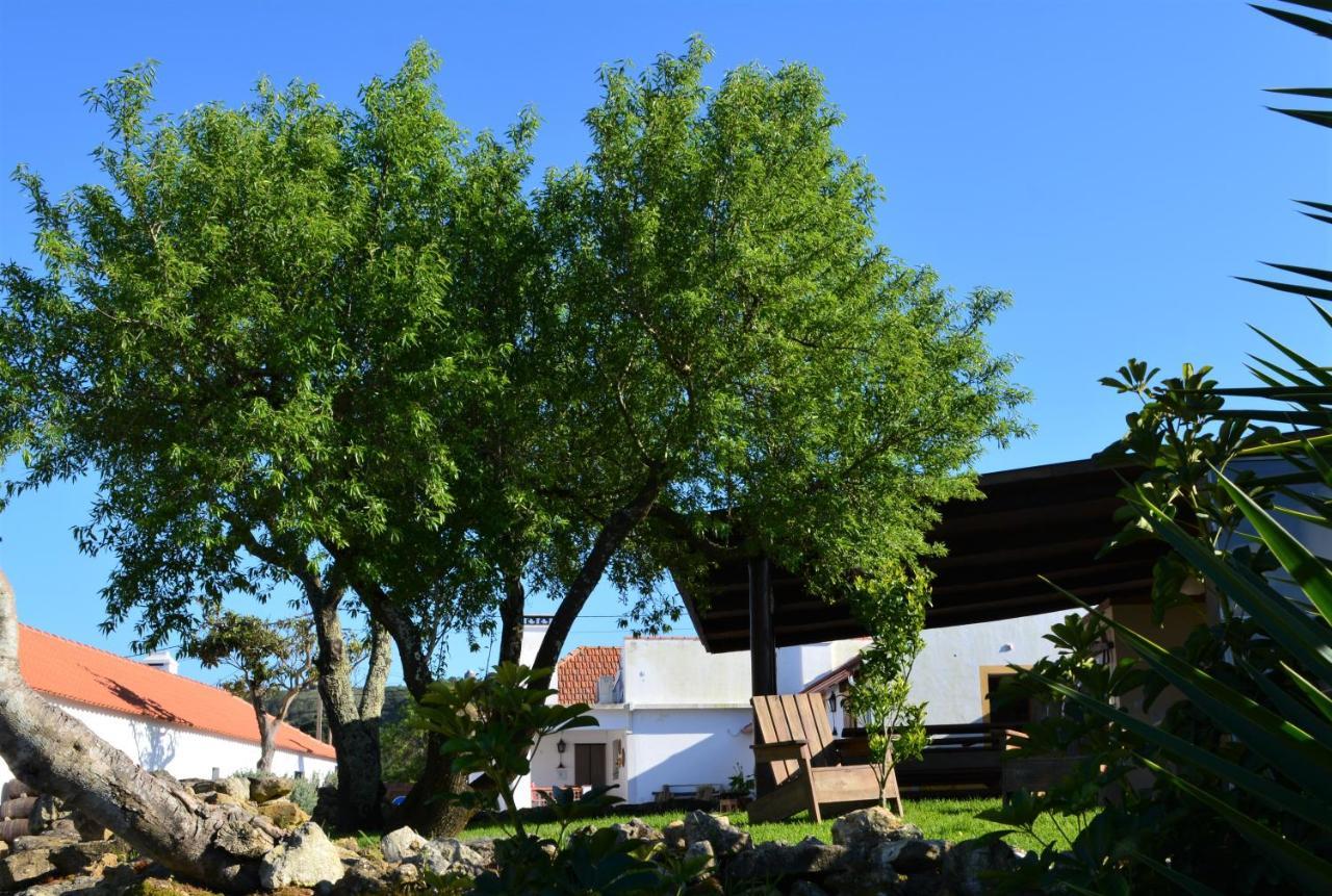 Quinta Do Tio Viagem Villa Quinta do Anjo Buitenkant foto